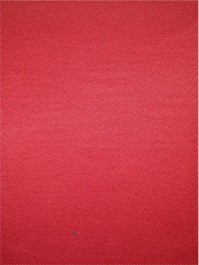 XX CGWI   30/2*10  350gsm  全棉阻燃直貢 正面照